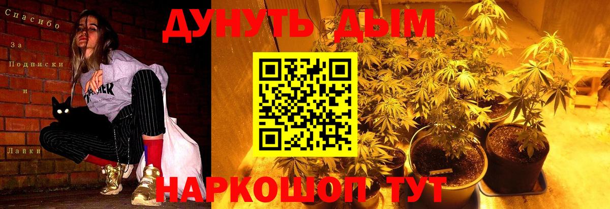 Котлас  Бошки Шишки план  Вход с VPN  Конопля THC 21%  Канабис Amnesia  Каннабис VHQ 